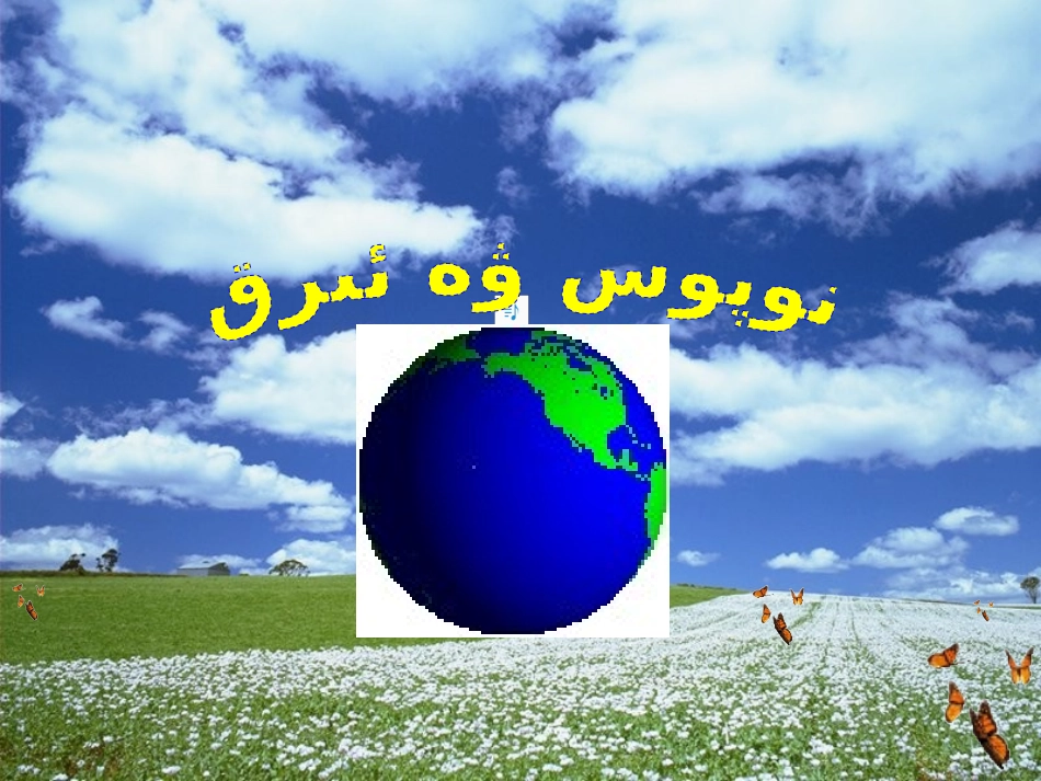 人口与人种-最新_第2页