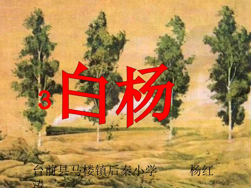 《3白杨》PPT课件1_第2页