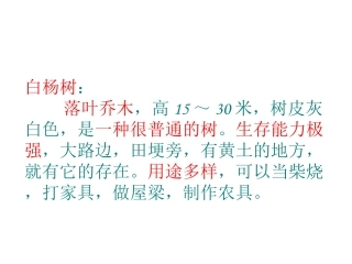 《3白杨》PPT课件1