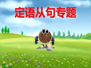 定语从句专题(讲解少_例句丰富)