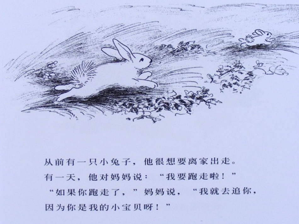 逃家小兔 (2)_第2页