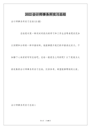 2024会计师事务所实习总结_5