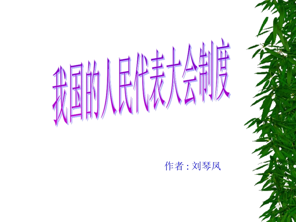 人民代表大会_第1页