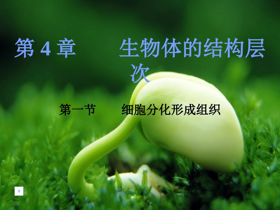 初一生物《细胞分化形成组织》课件_第1页