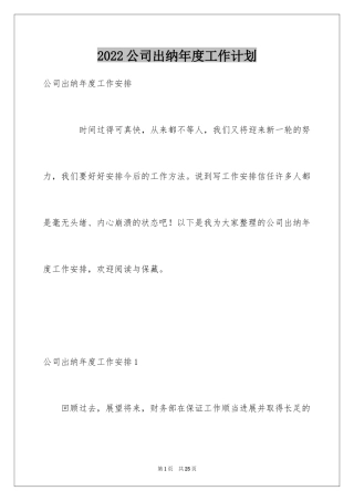 2024公司出纳年度工作计划