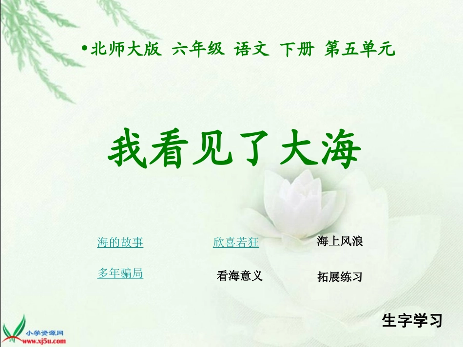 《我看见了大海》PPT课件_第1页