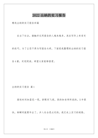 2024出纳的实习报告_9