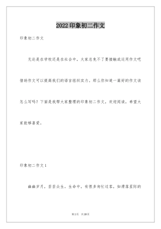 2024印象初二作文