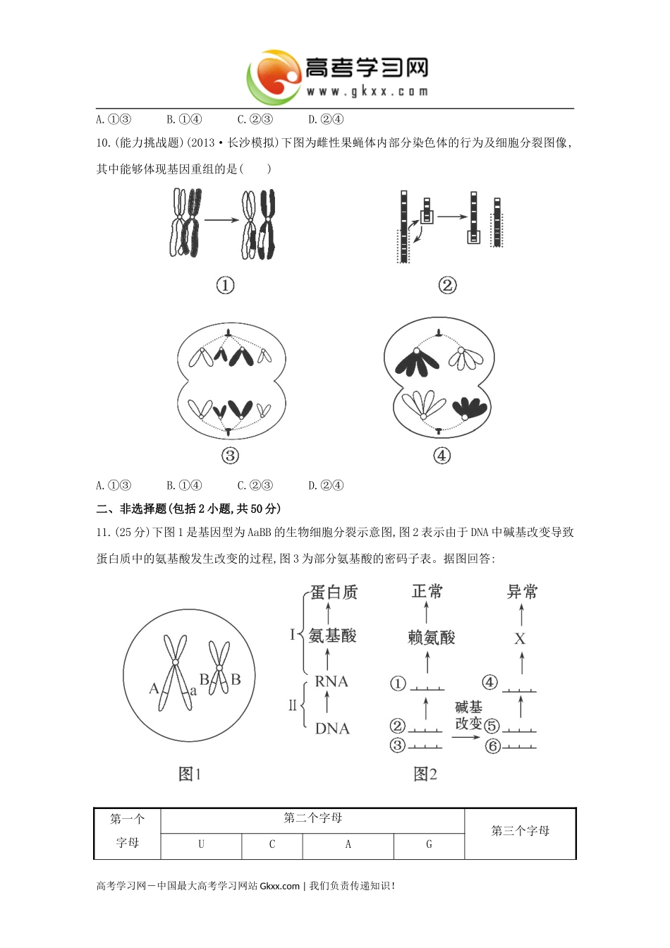 《基因突变和基因重组》_第3页