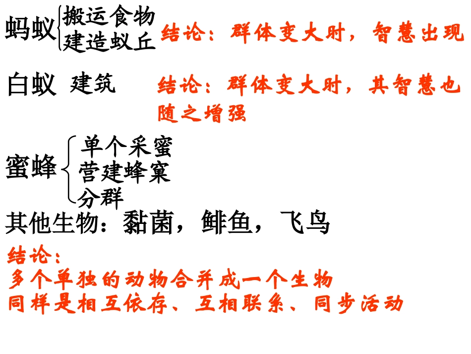 作为生物的社会_第3页