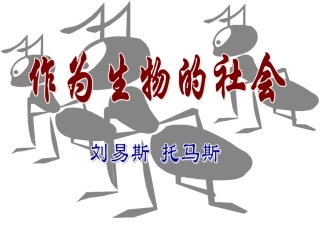 作为生物的社会