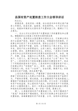 县国有资产处置核查工作大会领导讲话发言