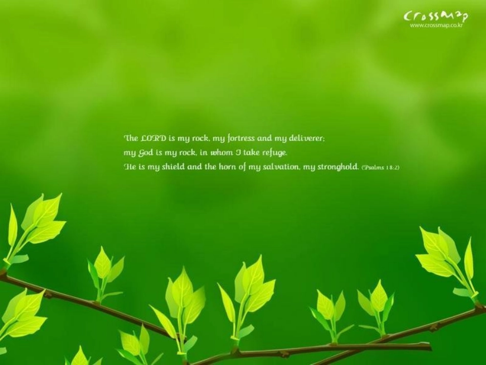 套清新淡雅PPT模板免费_第1页