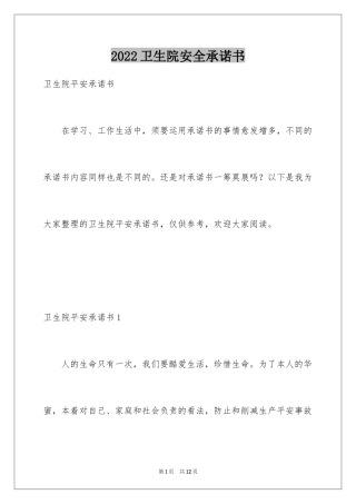 2024卫生院安全承诺书