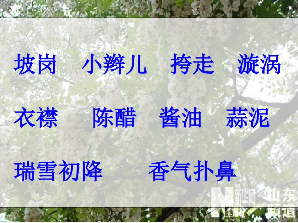 美丽的槐乡PPT_第3页