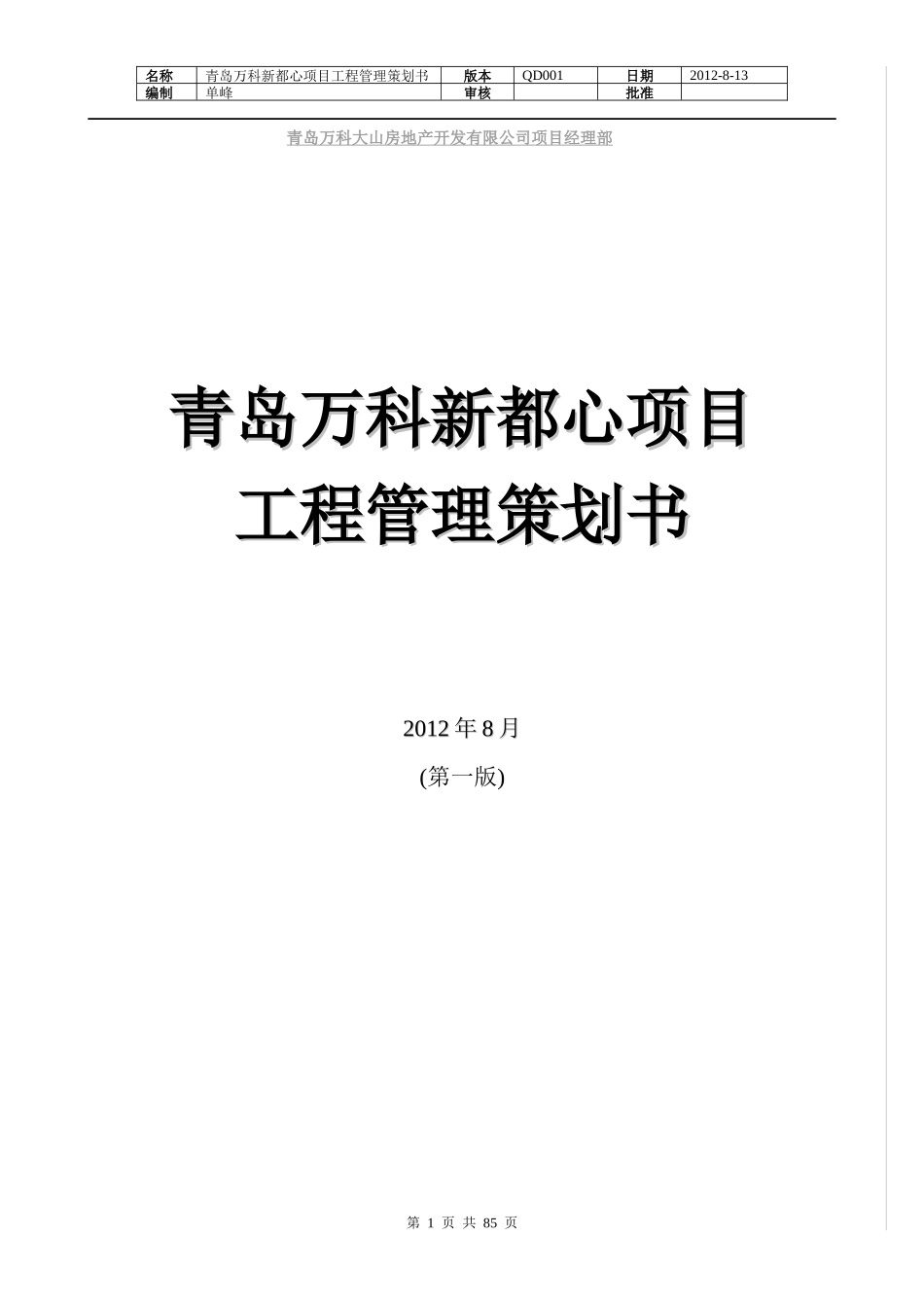 青岛某地产新都心项目工程管理策划书_第1页