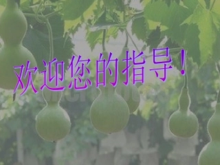 小学人教版二年级语文上册《14、我要的是葫芦》课件 (2)