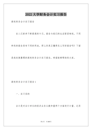 2024大学财务会计实习报告_1
