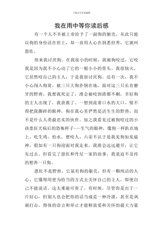 我在雨中等你读后感