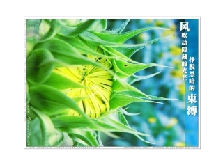 早恋校运会班会MicrosoftPowerPoint演示文稿