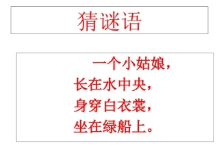 《荷花》教学课件2