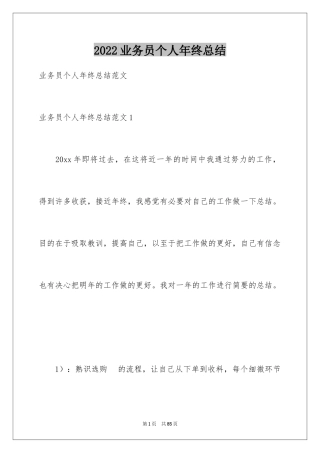 2024业务员个人年终总结_2