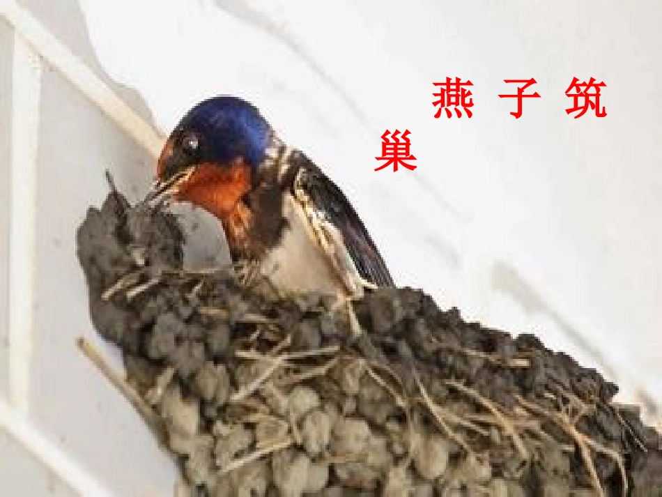 一年之计在于春1_第3页