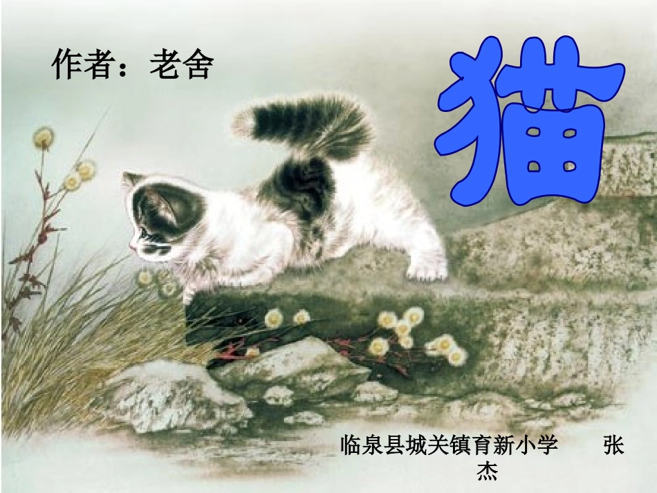 《猫》张杰2_第1页