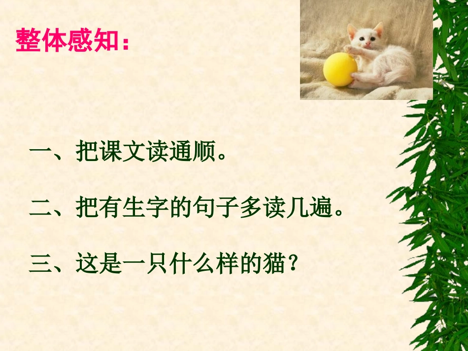 《猫》张杰2_第3页