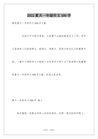 2024夏天一年级作文500字_4