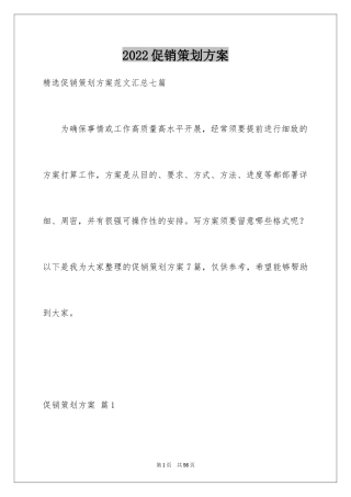 2024促销策划方案_40