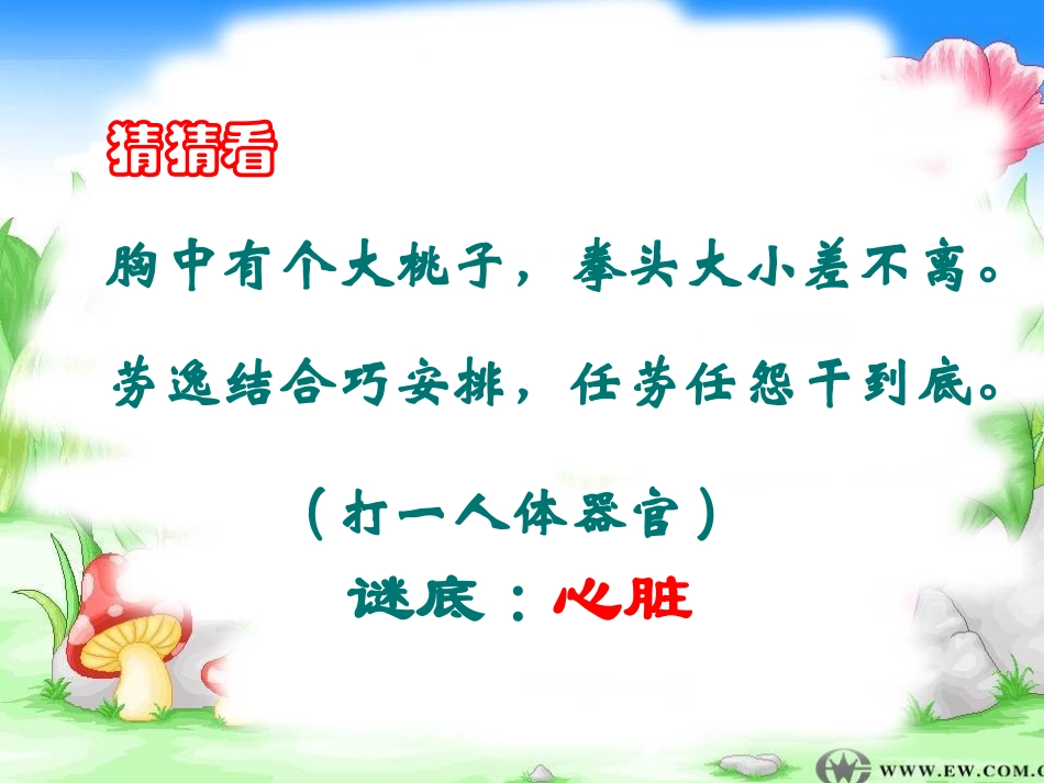 输送血液的泵——心脏_第2页