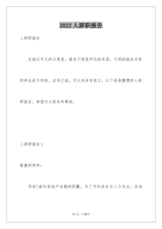 2024人辞职报告_1