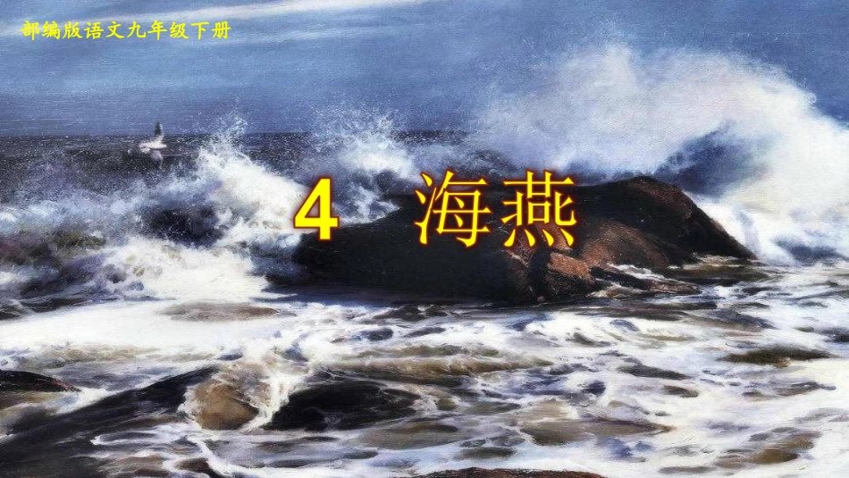 海燕教学课件 (2)_第1页