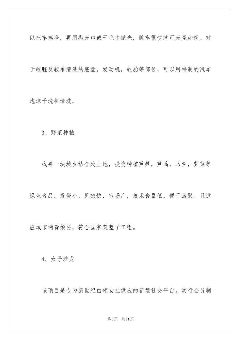 2024县城创业开店项目_第3页