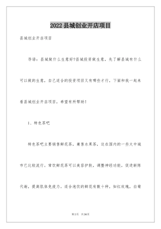 2024县城创业开店项目