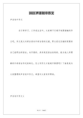 2024声音初中作文_2