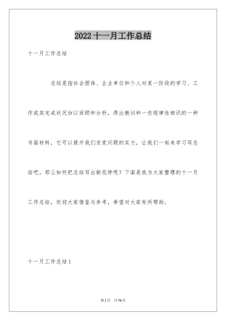 2024十一月工作总结