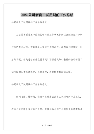 2024公司新员工试用期的工作总结_1