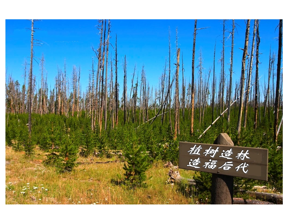 转载：用百分数解决问题(二)_第2页