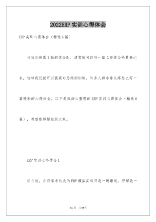 2024ERP实训心得体会_1