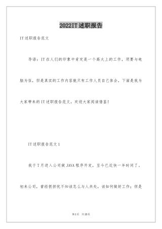 2024IT述职报告