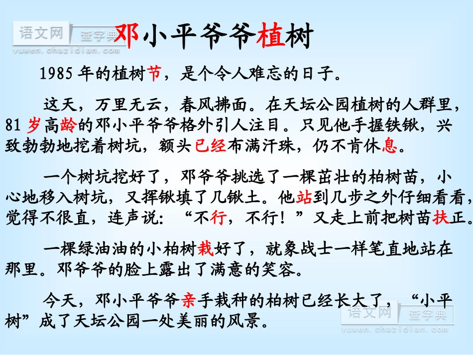 邓小平爷爷植树 (3)_第3页