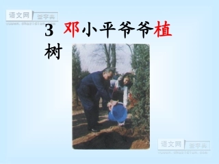邓小平爷爷植树 (3)