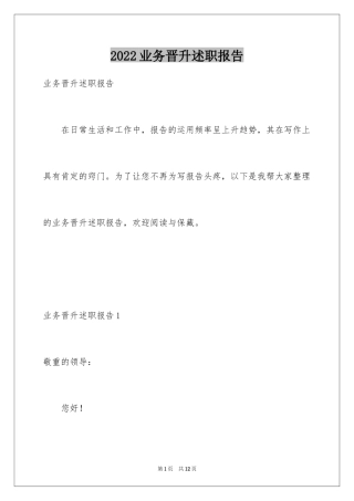 2024业务晋升述职报告_1