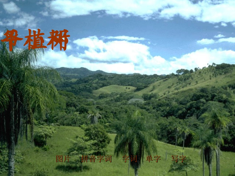 邓小平爷爷植树_第2页