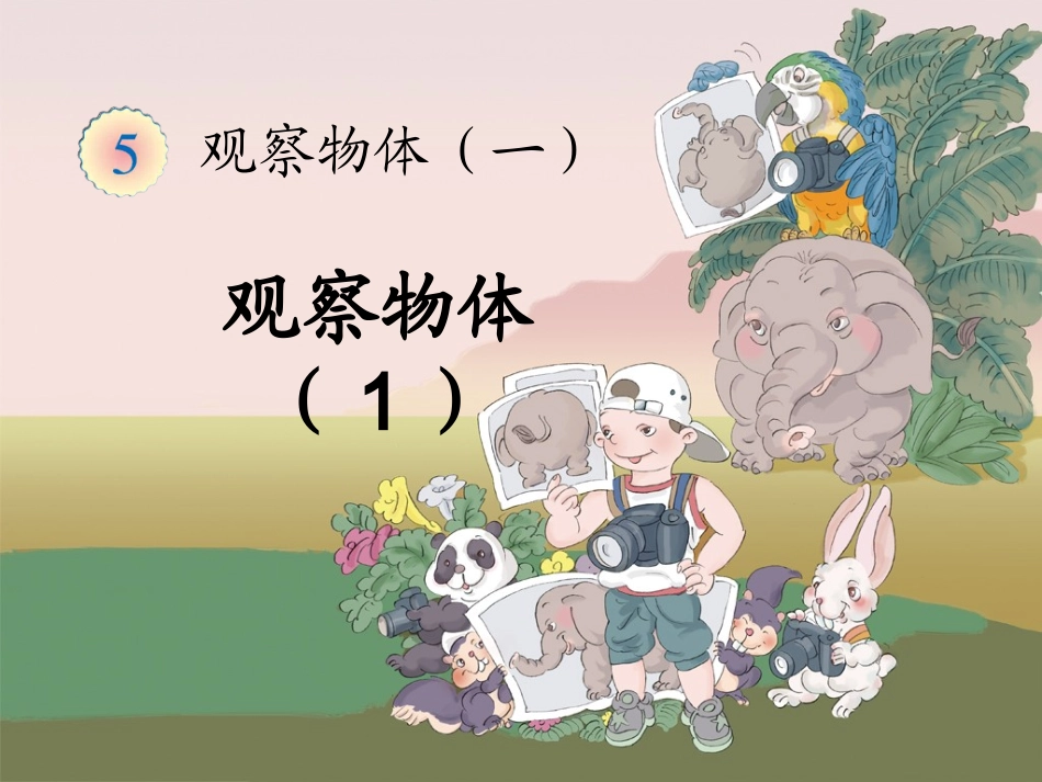 《观察物体（一）》教学课件1_第1页