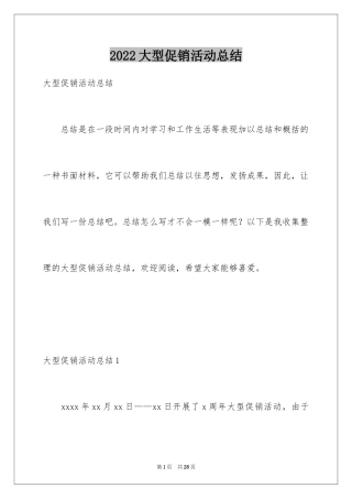 2024大型促销活动总结_1