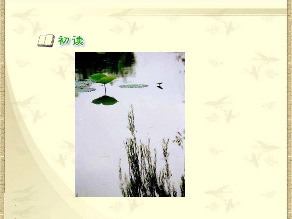 新课标人教版语文一年级下册古诗两首《小池》课件_2013010531659925_971_第2页