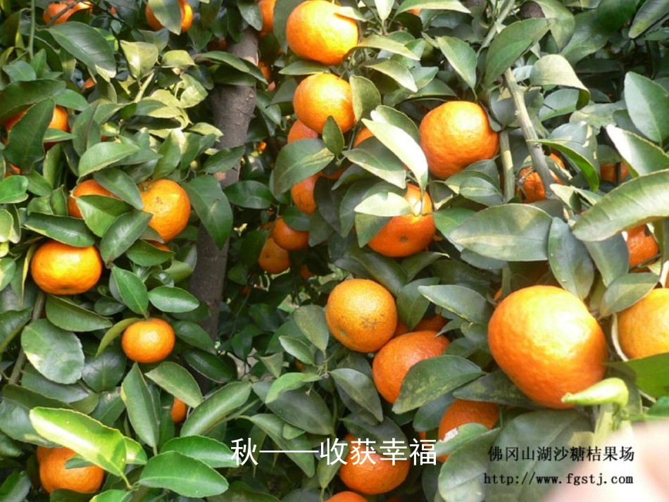 济南的冬天(1)_第3页